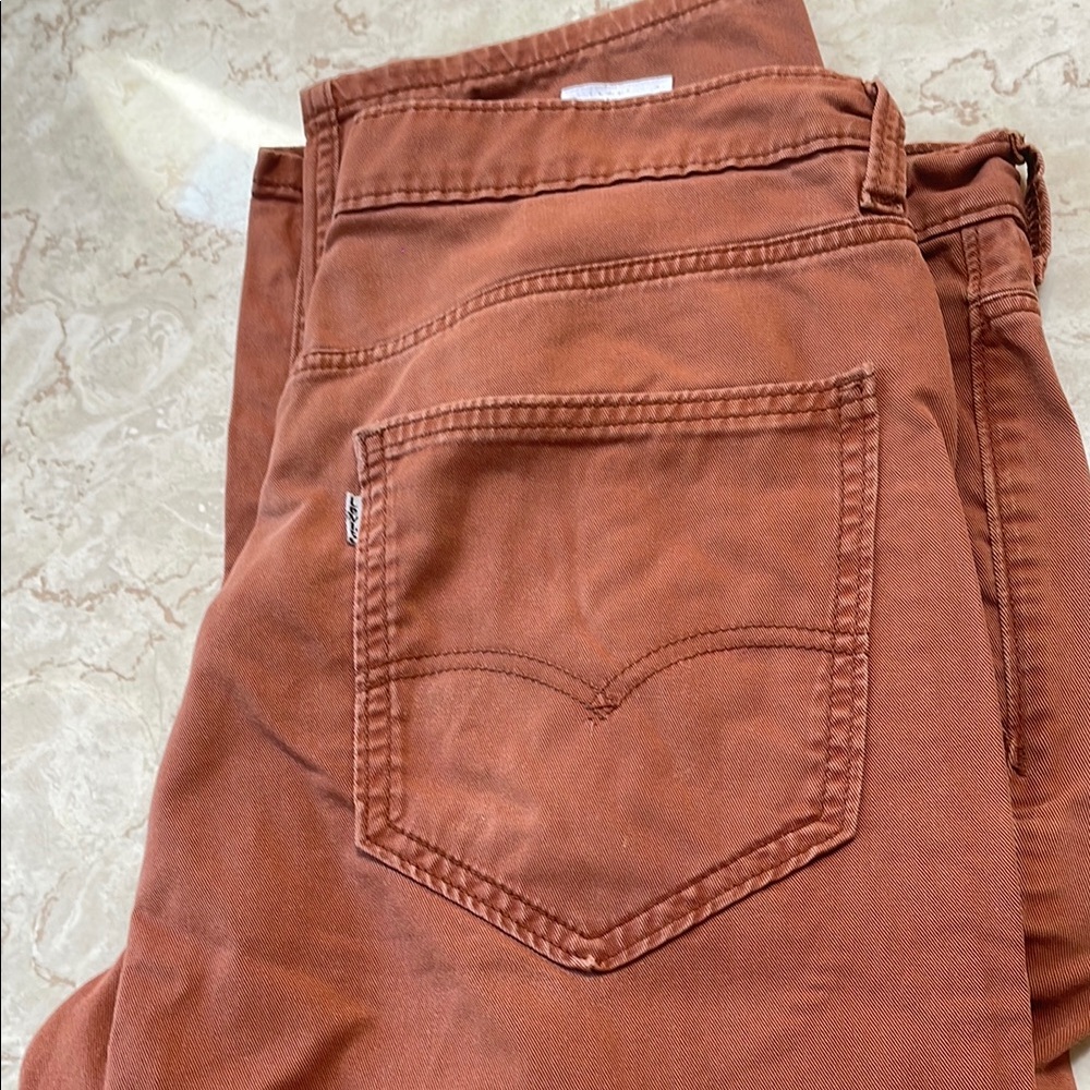 Levi's Pants Mens 34x30